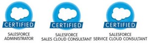 Salesforce Jobs and Career Paths